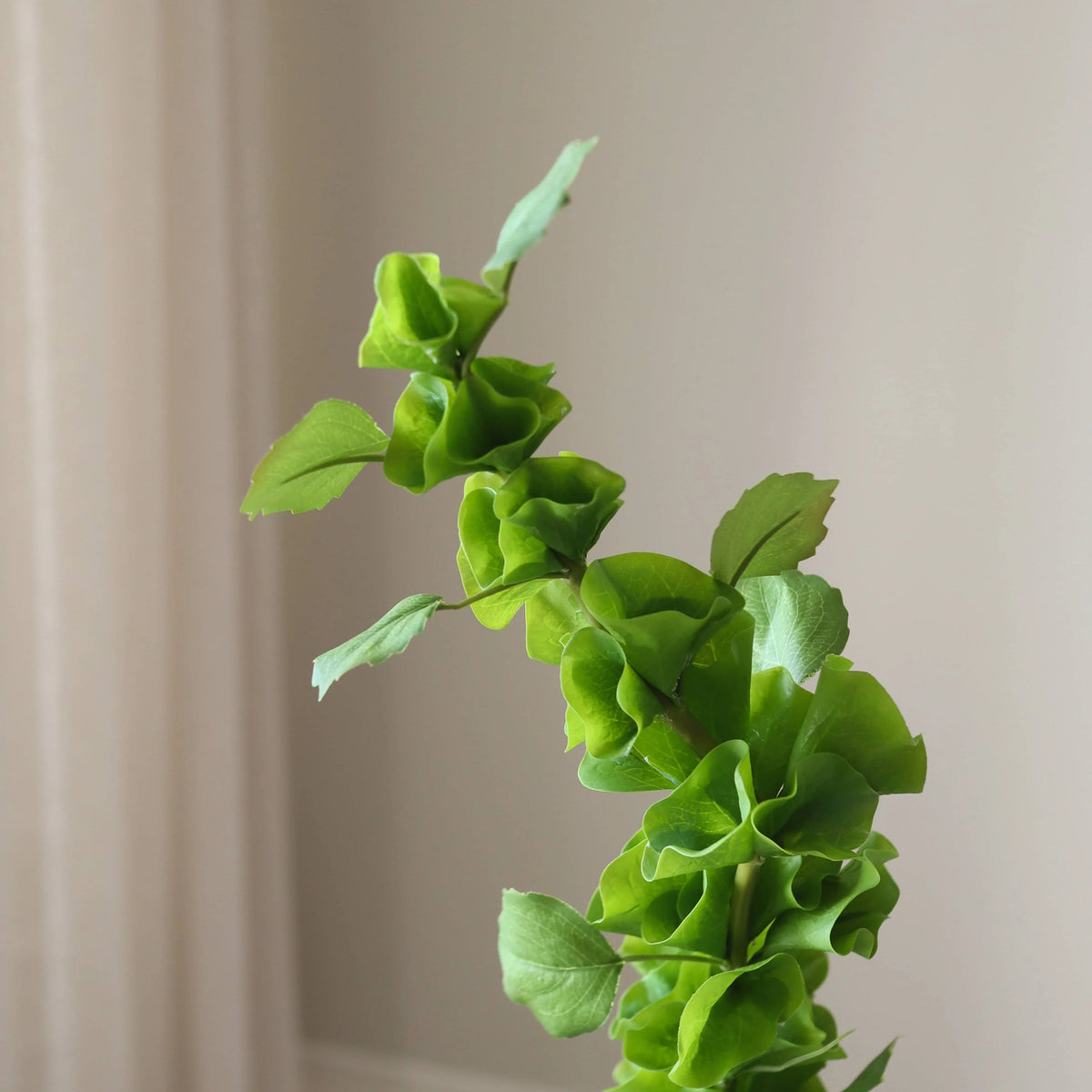 Kunstig Bells of Ireland – Grønn 90 cm